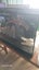Fish or reptile tank comes with all filters & pump etc Carousel 4