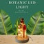 Autumn Real Preserved LED light lamp Carousel 1