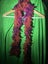 FREE Various scarves to choose one Carousel 3