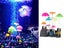 PTN NEW Fish Tank Ornament Sale Sale Carousel 5