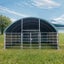 Livestock Shelter 6x6x3.7m with Net Sides Green Carousel 2