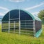 Livestock Shelter 6x6x3.7m with Net Sides Green Carousel 4