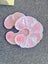 breastfeeding essentials - nursing pads, syringe feeding gear and milk storage Carousel 3