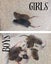 Baby Rats Carousel 10