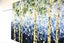 ART painting landscape Oil New canvas original birch trees 76 cm x 101 cm Carousel 6