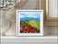 ART painting Flora & fauna Oil New canvas original mountains of poppies Carousel 10