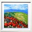 ART painting Flora & fauna Oil New canvas original mountains of poppies Carousel 4