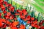 ART painting Flora & fauna Oil New canvas original mountains of poppies Carousel 14