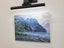 Fiordland Beech Trees - Caley Hall Fine Art Original Oil Painting Carousel 8