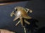 Loading Image 1 of 6