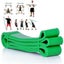 NEW NEW Heavy Duty Resistance Bands Set Carousel 17
