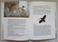 Selma Lagerlof: The WONDERFUL ADVENTURES of NILS (hbk, illstd by Lars Klinting) Carousel 8