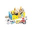 Loading Image 1 of 1