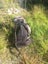 Tidy SWING Paragliding harness Carousel 5