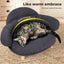 Pawz Elevated Pet Dog Cat Bed Sofa Couch Kitten Lounge Raised Sofa Bed 58cm Carousel 5