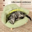 Pawz Elevated Pet Dog Cat Bed Sofa Couch Kitten Lounge Raised Sofa Bed 70cm Carousel 5