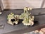 Fish tank and stand 180L Carousel 13