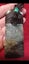 Extra large Westcoast beutifull pounamu Carousel 5
