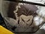 5 Anime Led Wall Picutres Carousel 3
