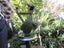 WWll stereoscopic telescope and stand Carousel 10