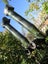 WWll stereoscopic telescope and stand Carousel 12