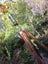 WWll stereoscopic telescope and stand Carousel 1