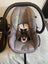 Maxi Cosi Mico Max Plus Capsule and Base Carousel 2