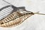 14 Carat Gold & Pearl Fern Brooch Carousel 3