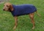 50-65cm Lengths -Velour High Polo Neck Coat-M-Lge dog "Clearance" Carousel 1
