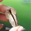 Ammonite Pair with Opal (TMz181) Carousel 3