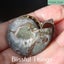 Ammonite Pair with Opal (TMz181) Carousel 6