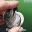 Ammonite Pair with Opal (TMz181) Carousel 7