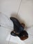 BOHO Boots size 39 Carousel 7