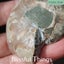 Ammonite Pair with Opal (TMz182) Carousel 5