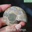 Ammonite Pair with Opal (TMz182) Carousel 6