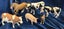 Schieich / Safari Solid Farm Animals in Excellent Condition Carousel 1