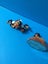 Skylanders Swap Force: Dark Blast Zone Carousel 3
