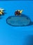 Skylanders Swap Force: Hoot Loop Carousel 3