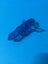 Skylanders Trap Team: Blue Water Crystal Carousel 2