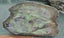 Genuine NZ Pounamu/Greenstone Rough Block Carousel 1