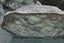 Genuine NZ Pounamu/Greenstone Rough Block Carousel 6