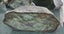 Genuine NZ Pounamu/Greenstone Rough Block Carousel 7