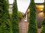 gallery view thumbnail