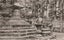 Loading Image 1 of 2