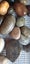 2.9 kg stones for rock tumblers. Lot 4 Carousel 6
