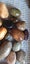 2.9 kg stones for rock tumblers. Lot 4 Carousel 7