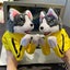 Interactive Hand Puppet Prank AnimalDoll Boxer Puppet With Sounds Action Playful Carousel 4