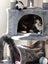 PENDING NEW HOME: Loving Home Needed for Our Cat - Chloe Carousel 9