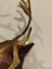 Vintage Deer Barometer Hanger ***** $1 Reserved ***** Carousel 7
