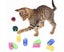 14 Pcs Crackle Lightweight Safe Interactive Fun for Play Toys and for Cat S Carousel 2